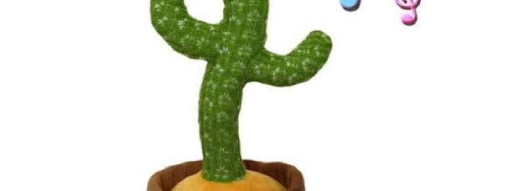 Dancing Cactus Toy