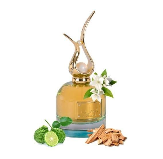 Lattafa Nightingale Fragrance for Men - Eau de Parfum 100 ml — image 3