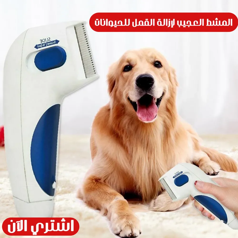 Electric lice comb for removing insects