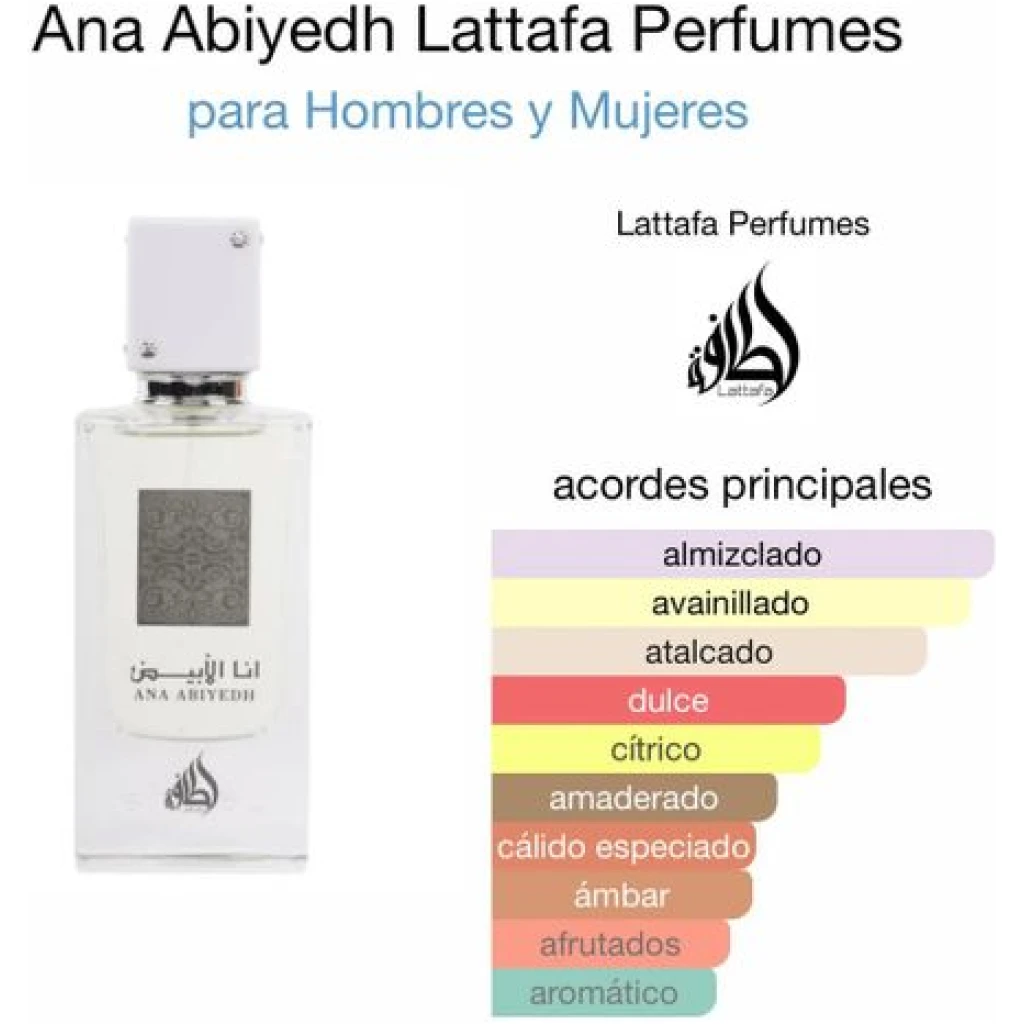 الرئيسية