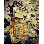 Lattafa عطر شيخ الشيوخ لوكس ايدشن او دى بارفان من لطافه - للرجال - الصورة 3